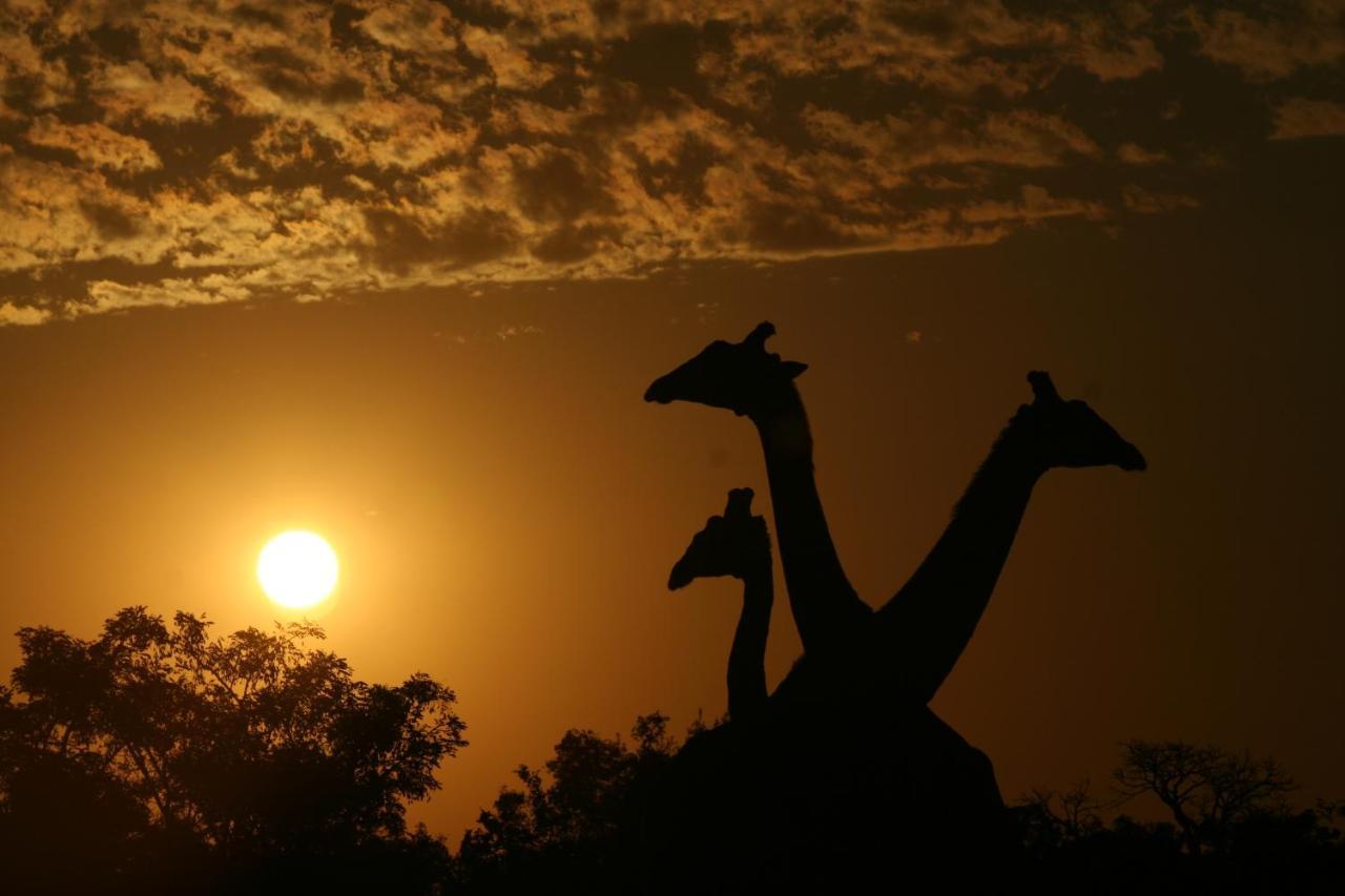 Nungubane Game Lodge Welgevonden Game Reserve Zewnętrze zdjęcie